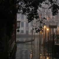 Venice, Winter 2010-2011